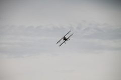 k-IMG_7655
