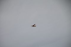 k-IMG_7700