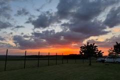 IMG_7239