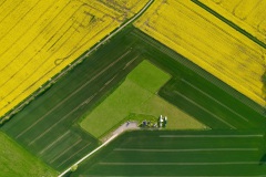 dji_fly_20250430_190226_589_1746033322963_photo