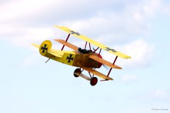 IMG_1464