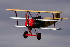 LSV_FF_2022_113