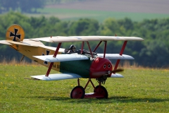 LSV_FF_2022_115