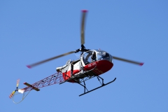 LSV_FF_2022_164
